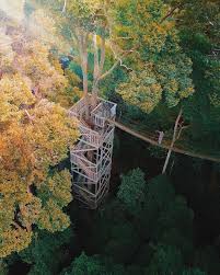 Wisata Bukit Bangkirai Menawarkan Pesona Hutan Hujan Tropis Yang Masih Alami Yang Dilengkapi Dengan Sarana Dan Prasarana Wis In 2020 Outdoor Outdoor Decor Instagram