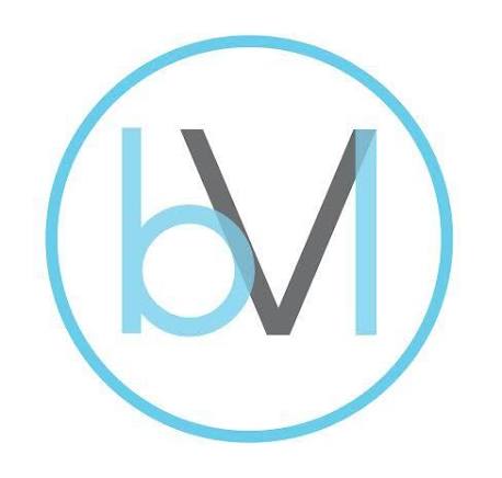 Logo PT Bali VIP Indonesia
