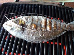 E grigliare, quando sarete in pensione. Diario Di Un Electric Griller La Griglia Da Pesce