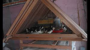 Maybe you would like to learn more about one of these? Membuat Atap Kandang Ayam By Inovator Channel