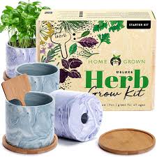 So when i received an email asking me to share some tips for planting a diy indoor herb garden, i felt a little inauthentic trying to portray myself as an indoor herb gardening guru. Housewarming Gift Easy To Grow Herb Garden Indoor Herb Kit Herb Garden Kit Herb Seed Kit Diy Garden Kit Seeds Bulbs Craft Supplies Tools Kromasol Com