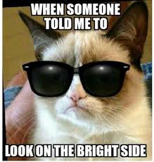 When Someone Told Me To Look On The Bright Side Funny Thanksgiving Memes Grumpy Cat Funny Grumpy Cat Memes
