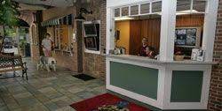 We did not find results for: Luxury Dog Kennels All American Pet Resort Royal Oak Provides Exemplary Customer Service Luxury Dog Kennels Pet Resort Luxury Dog