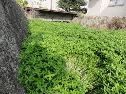 指定なし 北海道 青森 岩手 秋田 宮城 山形 福島 山梨 茨城 栃木 群馬 埼玉 千葉 東京 神奈川 長野 新潟 富山 石川 福井 静岡 愛知 岐阜 三重 滋賀 京都 大阪 兵庫 奈. Q7aoacrfdav0 M