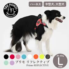 トレポンティ ハーネス サイズ
