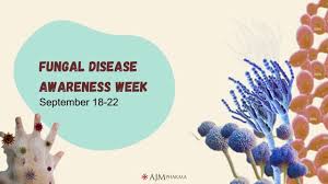 Abid Mukhtar Choudhary