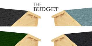 How To Build A Shed Roof Set The Roof Trusses Popular Shed Roof Styles
