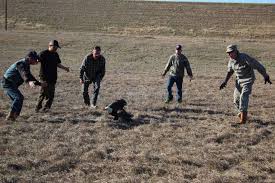 Image result for no rev12 Hollywood Great Eagle rescue