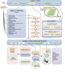 4 Snomed Ct Basics Snomed Ct Starter Guide Snomed