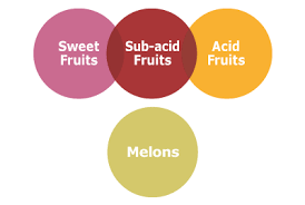 Food Combining Chart Official Reference Chart For Smooth