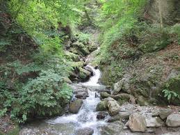 The following 37 files are in this category, out of 37 total. Sillschlucht Active Life Innsbruck Tirol Austria Yelp