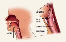 Laryngeal cancer is a type of cancer that affects the larynx (voice box). Early Detection Of Throat Cancer Symptoms Throat Cancer Symptoms Signs Of Throat Cancer