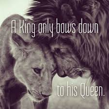 A King Only Bows Down To His Queen Lioness Quotes Best Love Quotes Lion Quotes