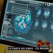 Documentaires exclus, documentaires inédits, emissions documentaires / replay tv, arts, biopic, divertissement, emission tv, enquête, histoire patrick sabatier a également concoté des surprises riches en émotion pour le normand. C8 On Se Retrouve Chez Sabatier Extrait Facebook