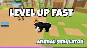 Rayhaan essa vor 4 tage +2. How To Level Up Fast In Animal Simulator Roblox Youtube