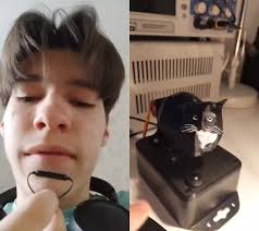 Смешное видео с кошкой и палкой в жопе