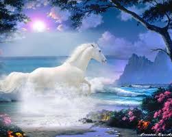 Find the best white horse wallpaper on getwallpapers. Beautiful White Horse Wallpaper Desktop Background