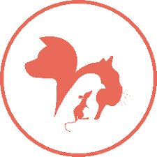 Ce site rappelle que la garde d'animaux est régie par deux articles du code civil. Garde Nous Pet Sitter Et Garde D Animaux A Domicile En Medoc Et Gironde