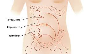 Bolesť okolo pupka v tehotenstve. Preco To Boli Pri Pupku Pocas Tehotenstva Preco Pupok Boli Pocas Tehotenstva A Kedy Sa Obavat Ked Je Taka Bolest Bezpecna