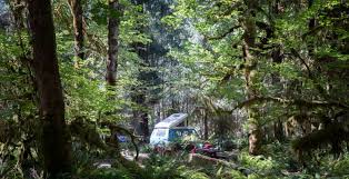 All campsites for kalaloch are available online for. Hoh Campground Olympic National Park Wa 5 Hipcamper Reviews And 34 Photos