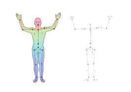 dermatomes spinal cord pain distribution on behance