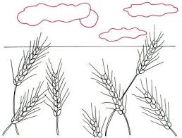 How To Draw Wheat Fields In 4 Steps Drawings Wheat Fields Art Projects