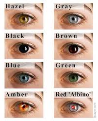 eye color chart interesting facts about the different