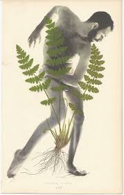 Bildergebnis für Robert Flynt