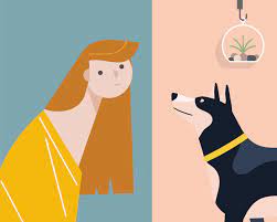 What can i do if my dog is scared of me? How To Get A Scared Dog To Trust You 9 Tips Strategies