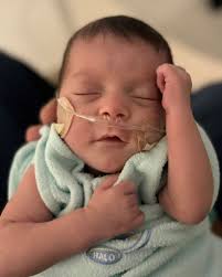 Amelia Lei Freeman Obituary December 9, 2024