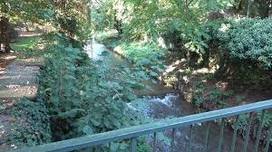 Nach eröffnung des neuen botanischen gartens auf der morgenstelle (1969) wurde der bisherige zu einer sehr beliebten öffentlichen grünanlage. Alter Botanischer Garten Picture Of Alter Botanischer Garten Tubingen Tripadvisor