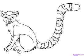 Rainforest Animals Drawings Google Search Animal Coloring Pages Monkey Coloring Pages Coloring Pages