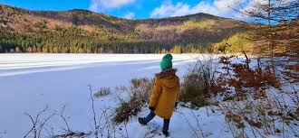 Cea cu masina, avand la dispozitie un drum asfaltat aflat in bune conditii, si un traseu prin padurea de pe muntele puciosu, usor de strabatut in vreo 2 ore, si care merita in cele mai mici amanunte. Mini Vacanta De Iarna In Harghita Recomandari Pentru Familiile Cu Copii Razvan Pascu