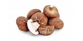 Maybe you would like to learn more about one of these? Patutlah Cendawan Shiitake Ini Popular Mahal Rupa Rupanya Penuh Dengan Khasiat Tersembunyi Sinar Harian