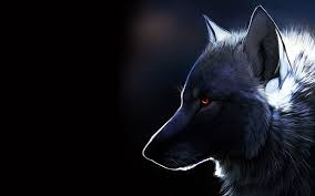 There are few creatures more fearsome and mighty than the wolf, and there's no better place to find a wolf wallpaper than unsplash. Wolf 4k