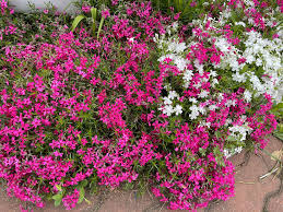 About press copyright contact us creators advertise developers terms privacy policy & safety how youtube works test new features press copyright contact us creators. Adrian Nastase Startseite Facebook