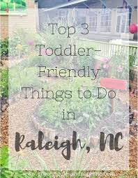 Top 3 Toddler Friendly Things To Do In Raleigh Nc Places To Take Toddlers Things To Do Stuff To Do