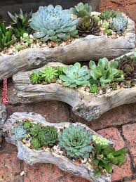 26 Ideale Saftige Gartenkonzepte Rund Um Den Globus Garden Deko Succulents Garden Plants Rock Garden Landscaping