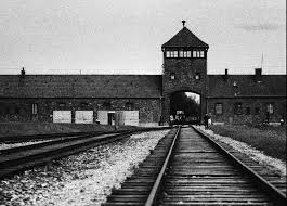 However, there was no systematic program for their elimination as there was for jews and other groups. Medicine After The Holocaust Tmc News