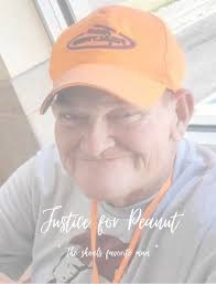 Mary Ann Mcgee (@mary.a.mcgee.5)