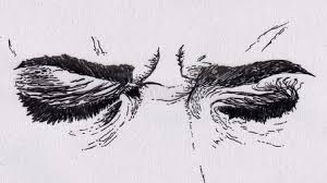 An Open Letter To Stressed Out College Students Art Art Drawings Drawings