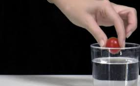 Densidad Del Agua Definicion Tipo Formula Y Como Se Calcula