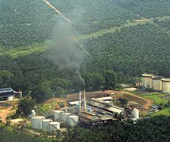 Hirschmann , jan 15, 2021. Malaysia Palm Oil Industry And National Standard Manufacturers Malaysia Palm Oil Industry And National Standard Suppliers Exporters Sale Design Prices Cost Of
