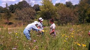 Nurturing New Careers In Ecological Restoration Iowa Natural Heritage Foundation