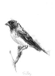 Birds And The Bees Lyrics Idk Brambling Sketch A Day Cool Drawings Drawings