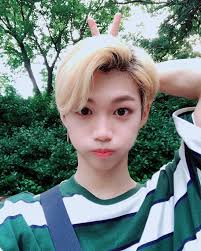 Just An Accident Kim Seungmin Felix Stray Kids Kids Icon Stray