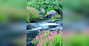 Obituary information for Charlie Folsom