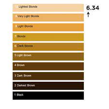 Each chart below is from a major hair care product company who produce some of the top at home hair coloring products. Guide To Blonde Hair Shades Expert Advice L Oreal Professionnel