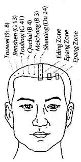 Synopsis Of Scalp Acupuncture Craniosacral Therapy Acupressure Acupuncture