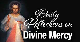 They are also the perfect way to find time in your day for spiritual reflection. Daily Reflections On Divine Mercy 365 Days With Saint Faustina